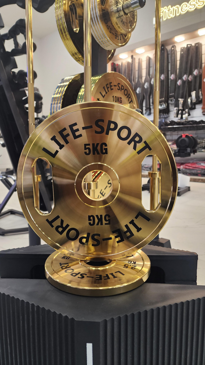 Life Sport Pro Bronze Coating Change Plate 5 kg